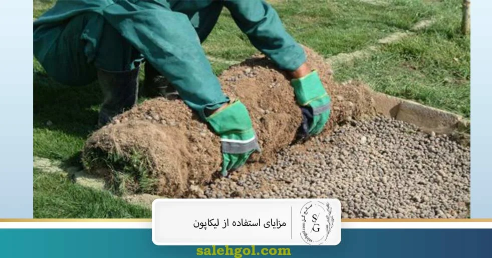مزایای استفاده از لیکاپون
